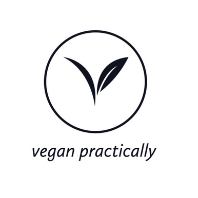 Blog logo: circle with a leaf inside and says "vegan practically" underneath